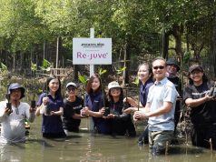 Mangrove Conservation Re.juve x Seasoldier | IST