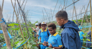 Kebun Percontohan TSE Group Jadi Lokasi Agrowisata Siswa Sekolah Dasar | IST