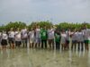 Cole Haan bersama para influencer dalam aksi penanaman mangrove sebagai simbol peluncuran kampanye Mission Green. Dokumentasi oleh Hutan itu Indonesia dan Cole Haan | IST